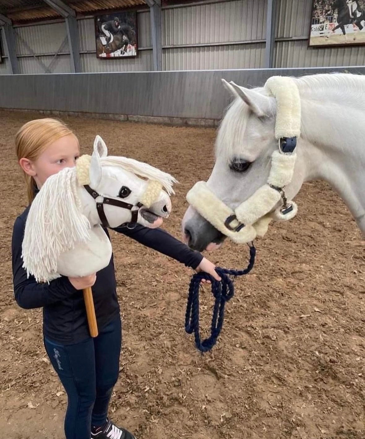 my hobby horse