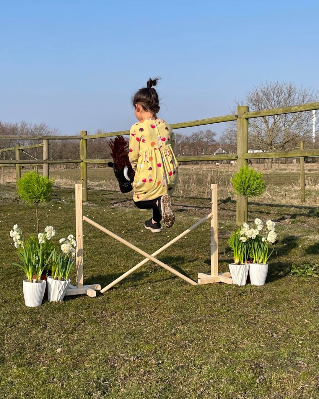 kæpheste spring