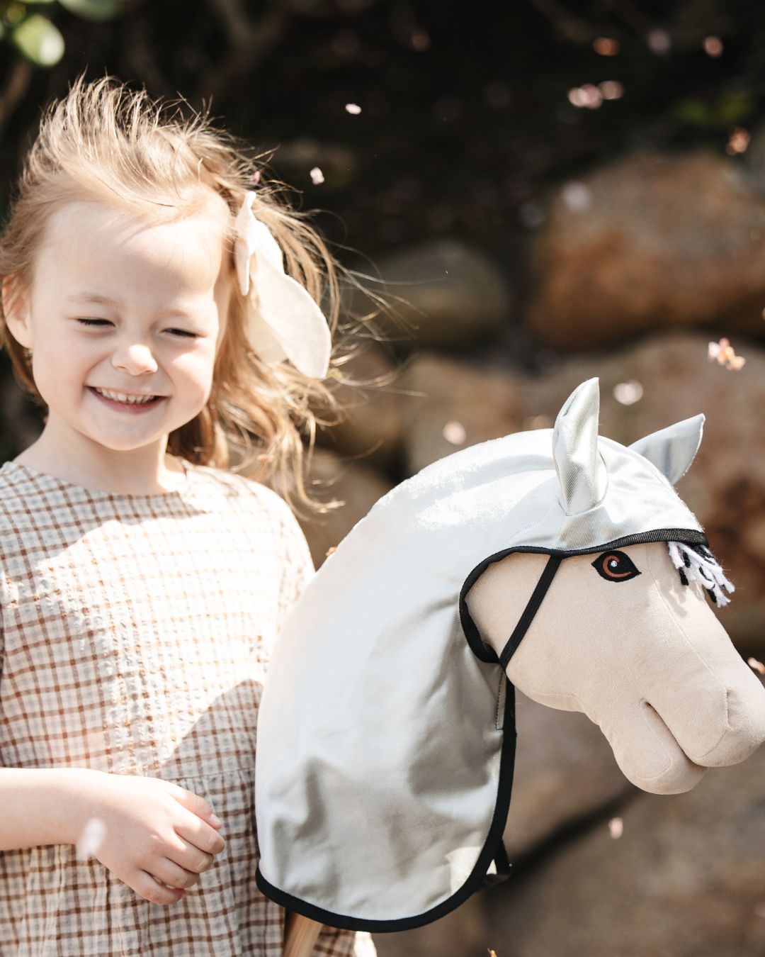 my hobby horse