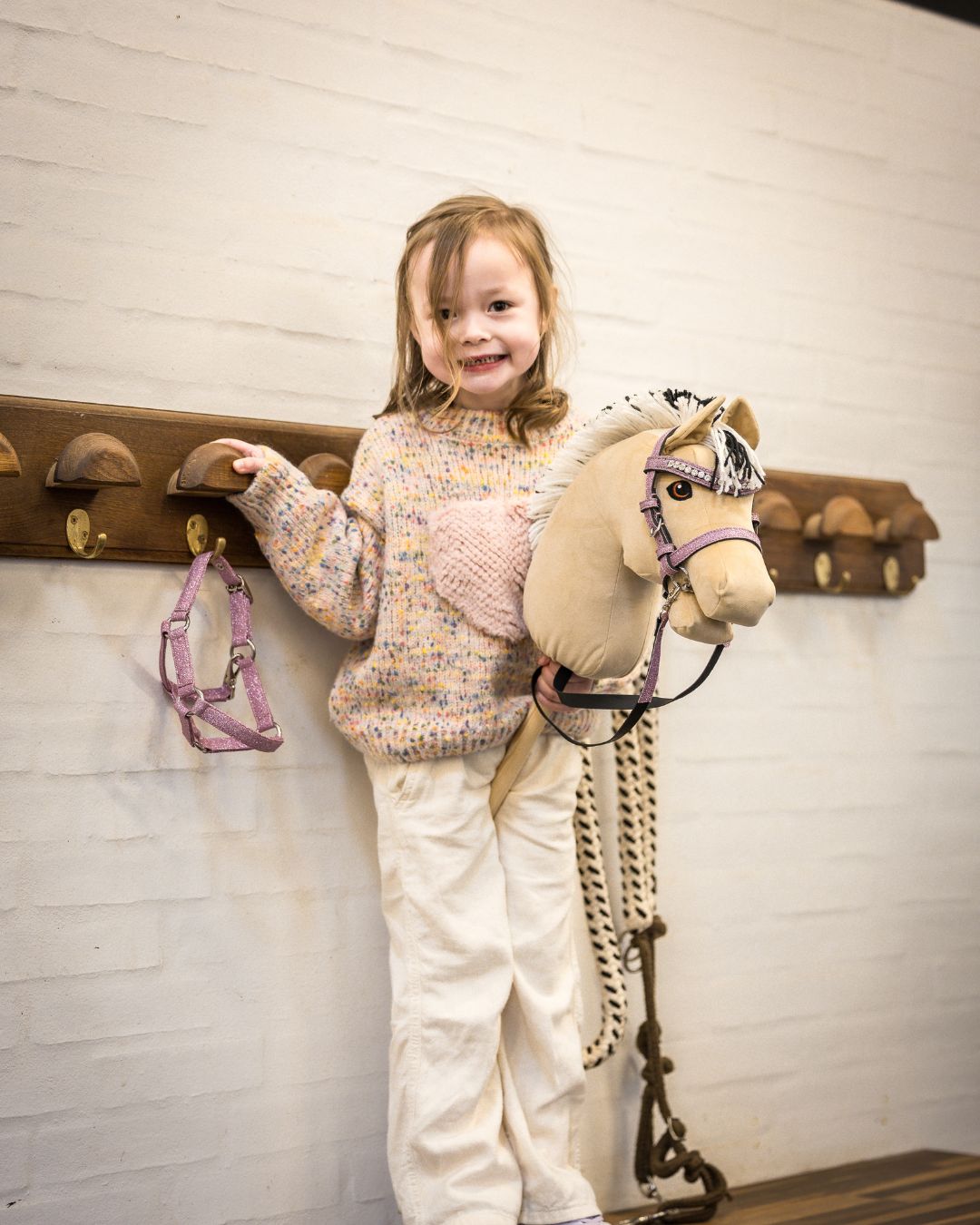 my hobby horse
