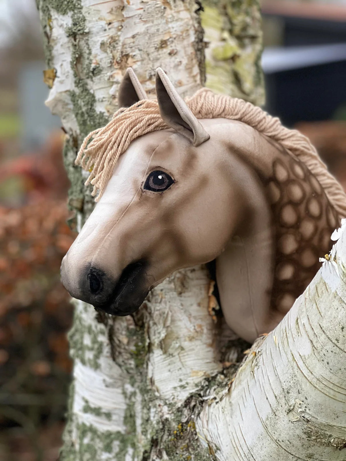 Look-a-like kæphest