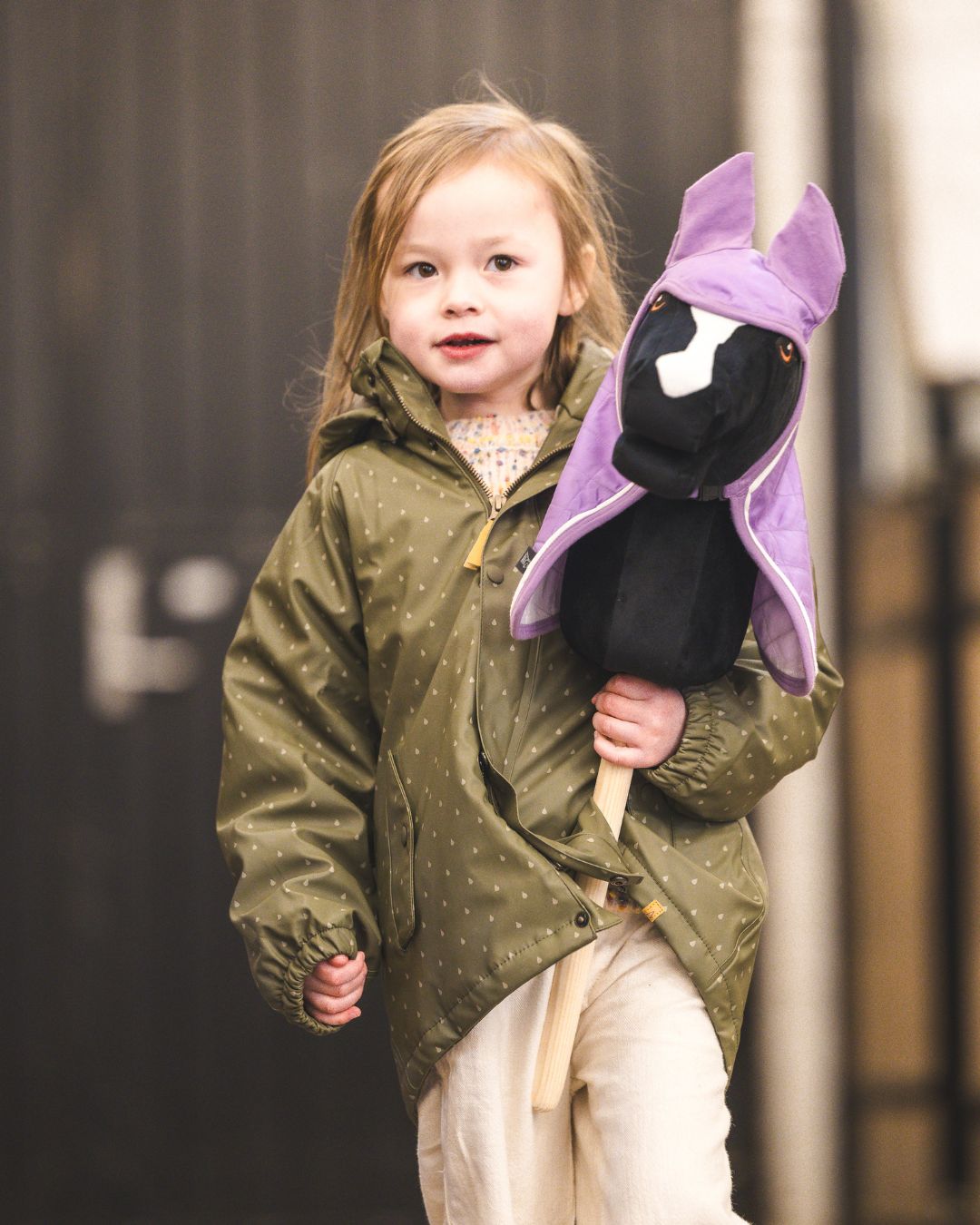 my hobby horse