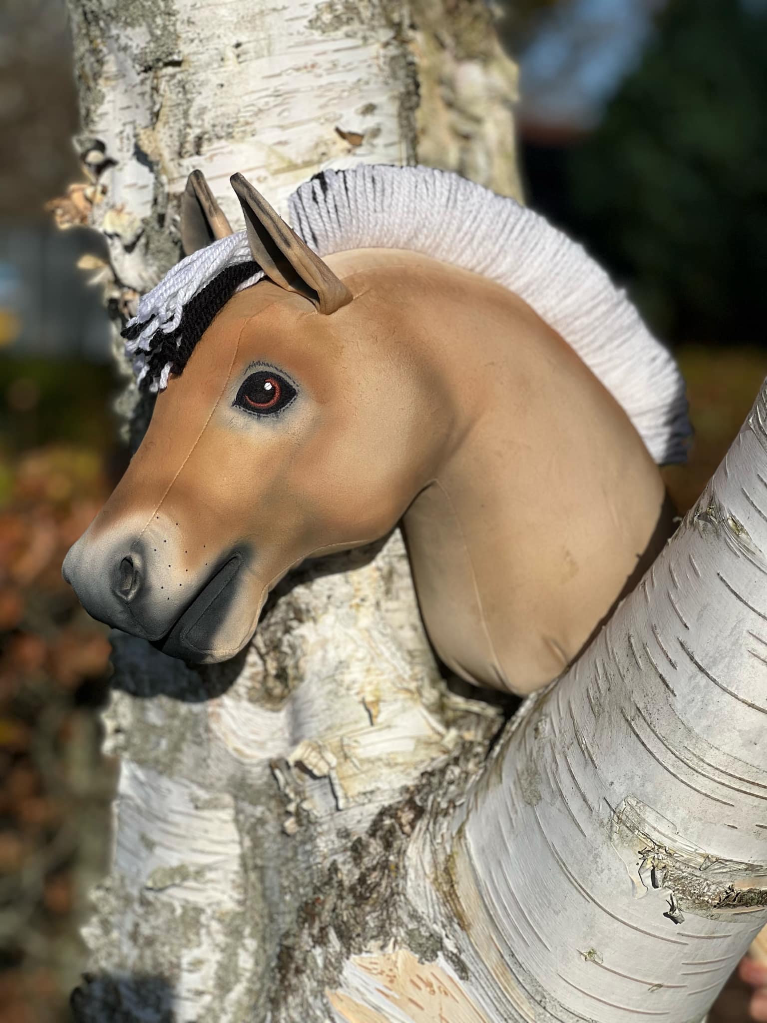 Look-a-like kæphest