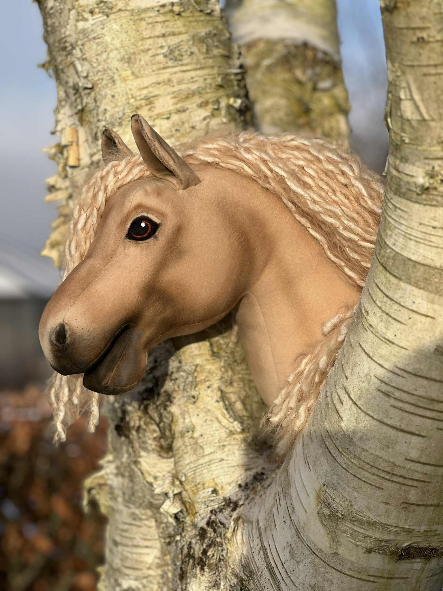 Kæphest Golden Gaya