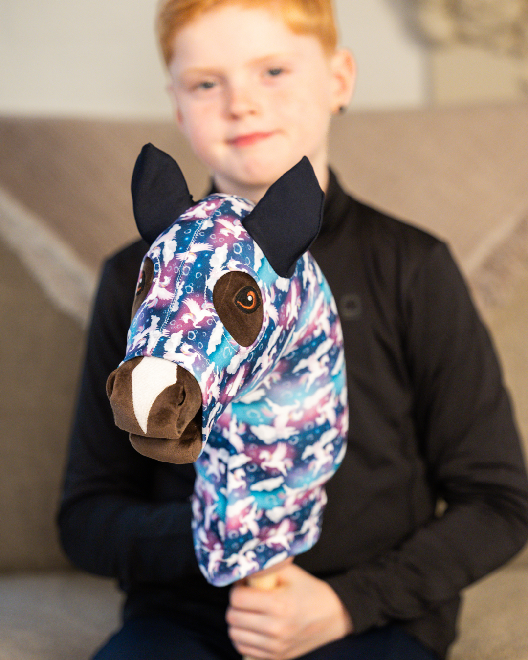 my hobby horse