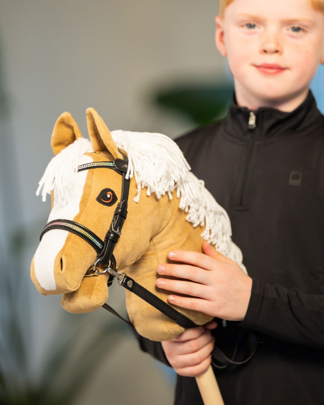 my hobby horse
