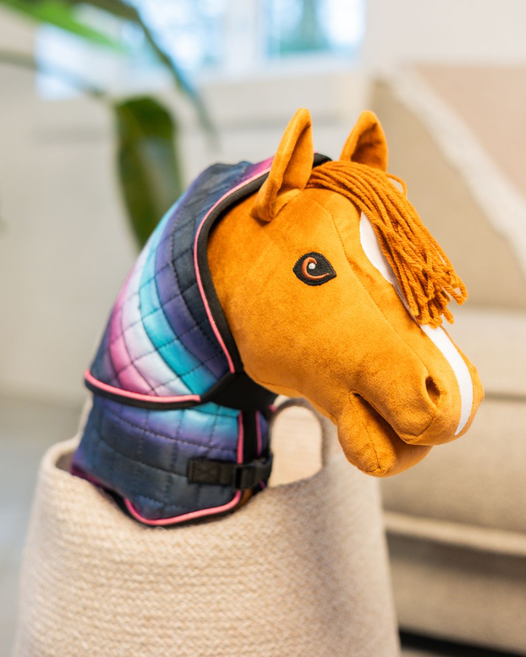 my hobby horse 