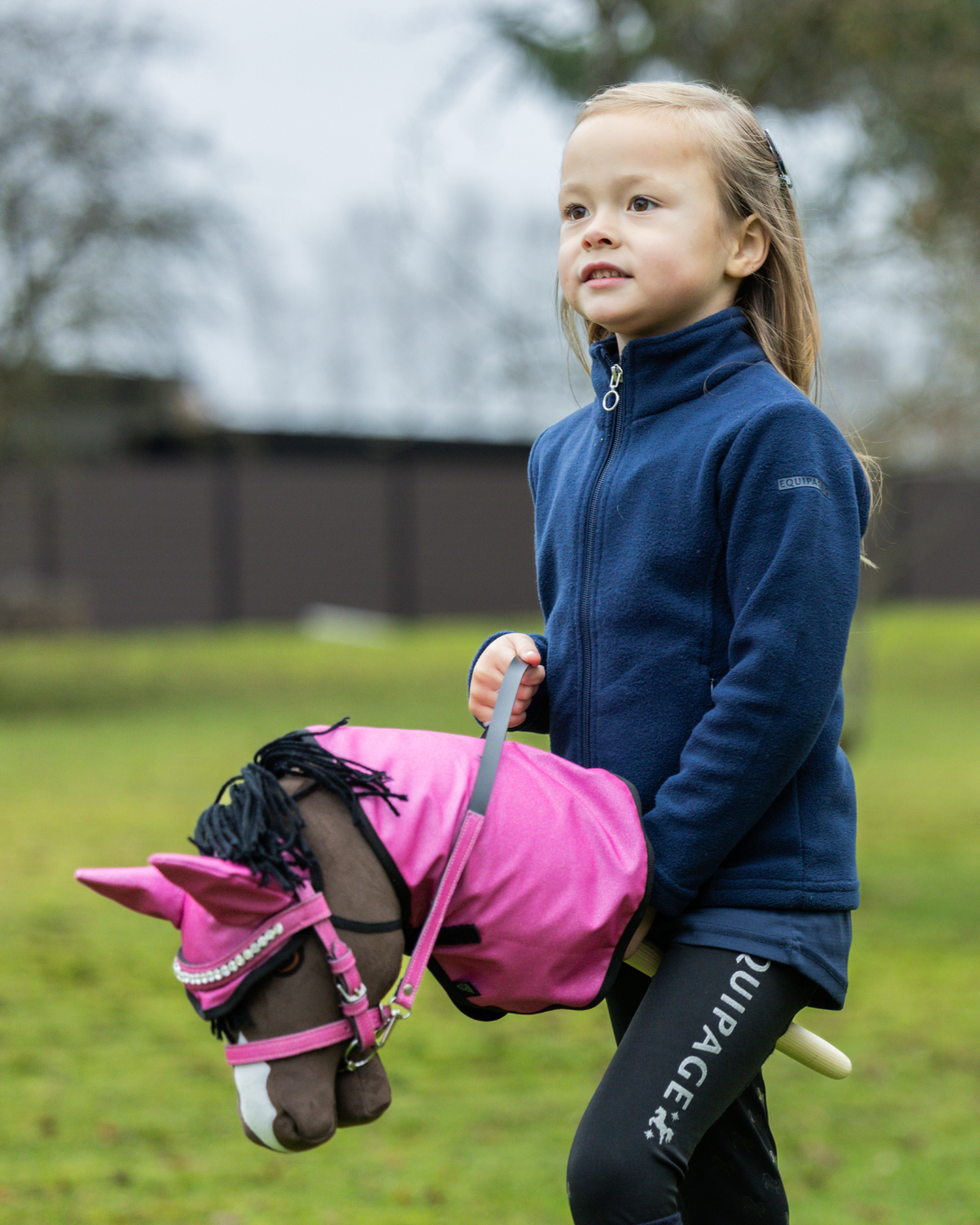 my hobby horse