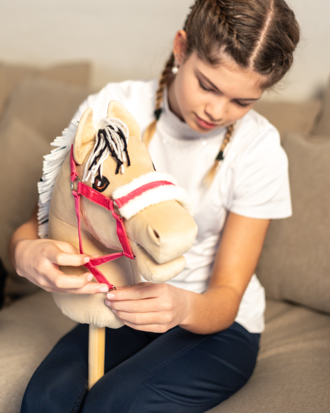 my hobby horse